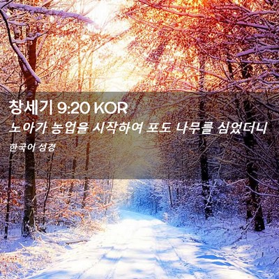 Picture 02 - 창세기 9:20 KOR - 노아가 농업을 시작하여 포도 나무를 - Bible Verse Picture