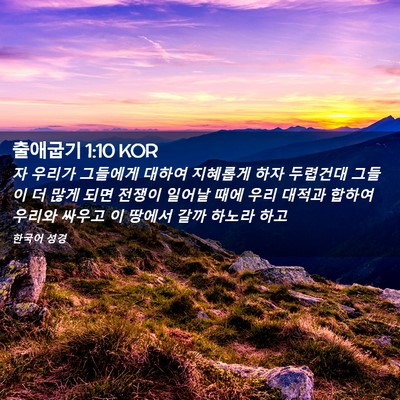 Picture 02 - 출애굽기 1:10 KOR - 자 우리가 그들에게 대하여 지혜롭게 - Bible Verse Picture