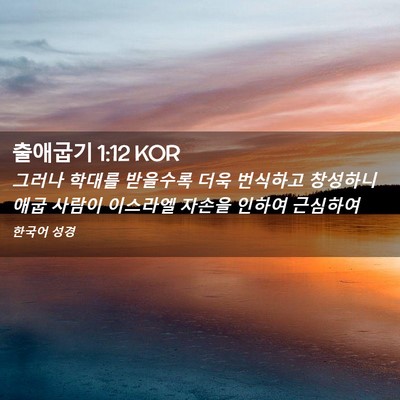 Picture 02 - 출애굽기 1:12 KOR - 그러나 학대를 받을수록 더욱 - Bible Verse Picture