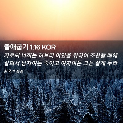 Picture 02 - 출애굽기 1:16 KOR - 가로되 너희는 히브리 여인을 위하여 - Bible Verse Picture