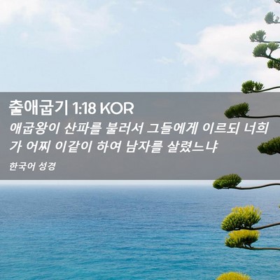 Picture 02 - 출애굽기 1:18 KOR - 애굽왕이 산파를 불러서 그들에게 - Bible Verse Picture