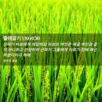 Picture 02 - 출애굽기 1:19 KOR - 산파가 바로에게 대답하되 히브리 - Bible Verse Picture