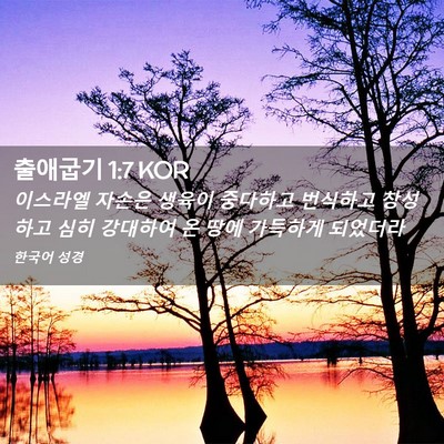 Picture 02 - 출애굽기 1:7 KOR - 이스라엘 자손은 생육이 중다하고 - Bible Verse Picture