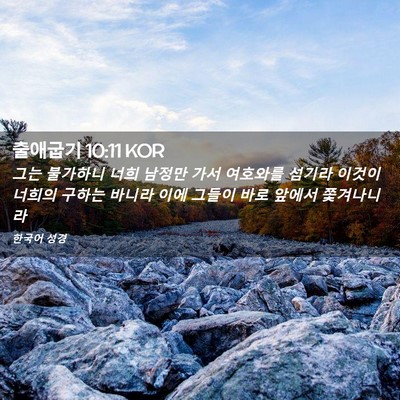 Picture 02 - 출애굽기 10:11 KOR - 그는 불가하니 너희 남정만 가서 - Bible Verse Picture