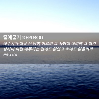 Picture 02 - 출애굽기 10:14 KOR - 메뚜기가 애굽 온 땅에 이르러 그 - Bible Verse Picture