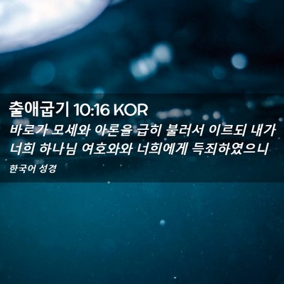 Picture 02 - 출애굽기 10:16 KOR - 바로가 모세와 아론을 급히 불러서 - Bible Verse Picture
