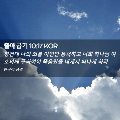 Picture 02 - 출애굽기 10:17 KOR - 청컨대 나의 죄를 이번만 용서하고 - Bible Verse Picture