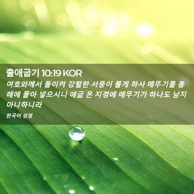 Picture 02 - 출애굽기 10:19 KOR - 여호와께서 돌이켜 강렬한 서풍이 - Bible Verse Picture