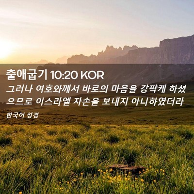 Picture 02 - 출애굽기 10:20 KOR - 그러나 여호와께서 바로의 마음을 - Bible Verse Picture