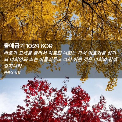 Picture 02 - 출애굽기 10:24 KOR - 바로가 모세를 불러서 이르되 너희는 - Bible Verse Picture