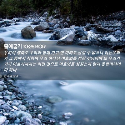 Picture 02 - 출애굽기 10:26 KOR - 우리의 생축도 우리와 함께 가고 한 - Bible Verse Picture