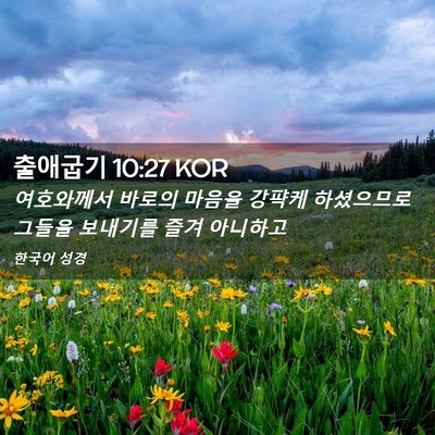 Picture 02 - 출애굽기 10:27 KOR - 여호와께서 바로의 마음을 강퍅케 - Bible Verse Picture
