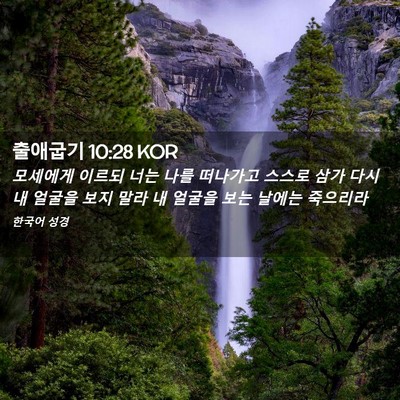 Picture 02 - 출애굽기 10:28 KOR - 모세에게 이르되 너는 나를 떠나가고 - Bible Verse Picture