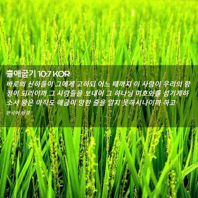 Picture 02 - 출애굽기 10:7 KOR - 바로의 신하들이 그에게 고하되 어느 - Bible Verse Picture