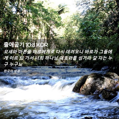 Picture 02 - 출애굽기 10:8 KOR - 모세와 아론을 바로에게로 다시 - Bible Verse Picture