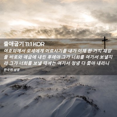 Picture 02 - 출애굽기 11:1 KOR - 여호와께서 모세에게 이르시기를 - Bible Verse Picture