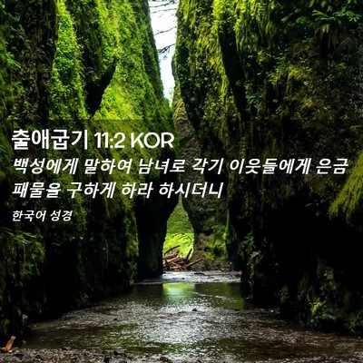 Picture 02 - 출애굽기 11:2 KOR - 백성에게 말하여 남녀로 각기 - Bible Verse Picture