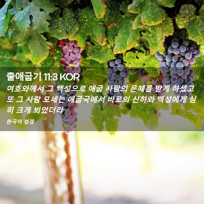 Picture 02 - 출애굽기 11:3 KOR - 여호와께서 그 백성으로 애굽 사람의 - Bible Verse Picture