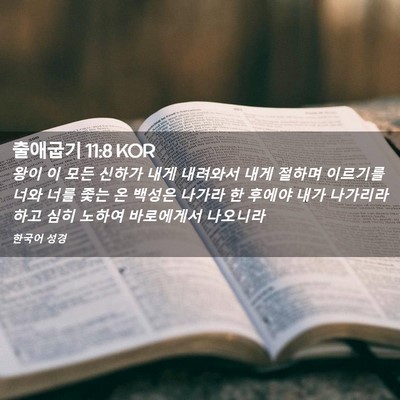 Picture 02 - 출애굽기 11:8 KOR - 왕이 이 모든 신하가 내게 내려와서 - Bible Verse Picture