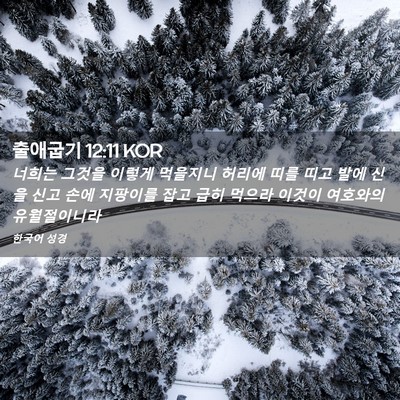 Picture 02 - 출애굽기 12:11 KOR - 너희는 그것을 이렇게 먹을지니 - Bible Verse Picture