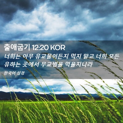 Picture 02 - 출애굽기 12:20 KOR - 너희는 아무 유교물이든지 먹지 말고 - Bible Verse Picture