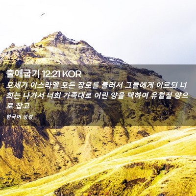 Picture 02 - 출애굽기 12:21 KOR - 모세가 이스라엘 모든 장로를 불러서 - Bible Verse Picture