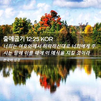 Picture 02 - 출애굽기 12:25 KOR - 너희는 여호와께서 허락하신대로 - Bible Verse Picture