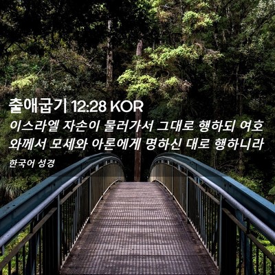 Picture 02 - 출애굽기 12:28 KOR - 이스라엘 자손이 물러가서 그대로 - Bible Verse Picture