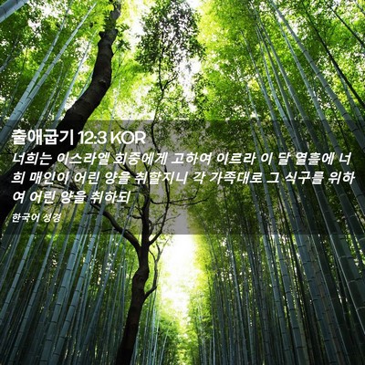 Picture 02 - 출애굽기 12:3 KOR - 너희는 이스라엘 회중에게 고하여 - Bible Verse Picture