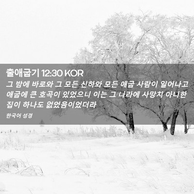 Picture 02 - 출애굽기 12:30 KOR - 그 밤에 바로와 그 모든 신하와 모든 - Bible Verse Picture
