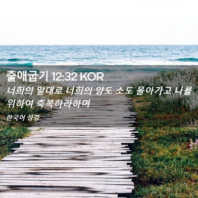Picture 02 - 출애굽기 12:32 KOR - 너희의 말대로 너희의 양도 소도 - Bible Verse Picture