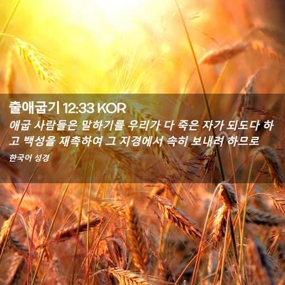 Picture 02 - 출애굽기 12:33 KOR - 애굽 사람들은 말하기를 우리가 다 - Bible Verse Picture