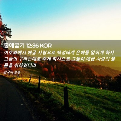 Picture 02 - 출애굽기 12:36 KOR - 여호와께서 애굽 사람으로 백성에게 - Bible Verse Picture