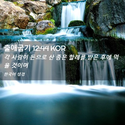 Picture 02 - 출애굽기 12:44 KOR - 각 사람이 돈으로 산 종은 할례를 - Bible Verse Picture