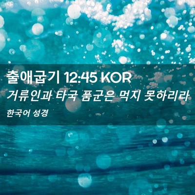 Picture 02 - 출애굽기 12:45 KOR - 거류인과 타국 품군은 먹지 - Bible Verse Picture