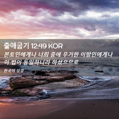 Picture 02 - 출애굽기 12:49 KOR - 본토인에게나 너희 중에 우거한 - Bible Verse Picture