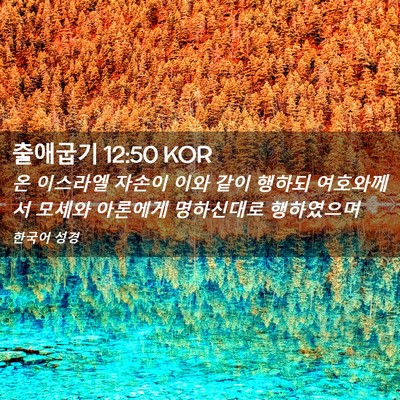 Picture 02 - 출애굽기 12:50 KOR - 온 이스라엘 자손이 이와 같이 - Bible Verse Picture