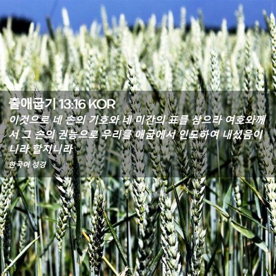 Picture 02 - 출애굽기 13:16 KOR - 이것으로 네 손의 기호와 네 미간의 - Bible Verse Picture