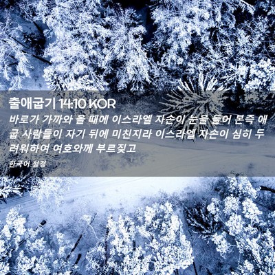 Picture 02 - 출애굽기 14:10 KOR - 바로가 가까와 올 때에 이스라엘 - Bible Verse Picture