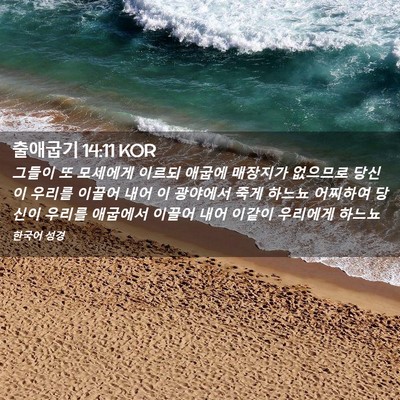Picture 02 - 출애굽기 14:11 KOR - 그들이 또 모세에게 이르되 애굽에 - Bible Verse Picture