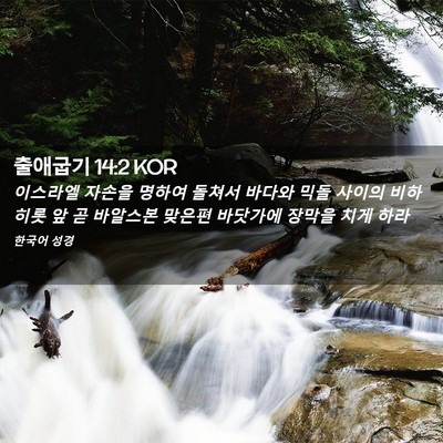 Picture 02 - 출애굽기 14:2 KOR - 이스라엘 자손을 명하여 돌쳐서 - Bible Verse Picture