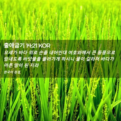 Picture 02 - 출애굽기 14:21 KOR - 모세가 바다 위로 손을 내어민대 - Bible Verse Picture