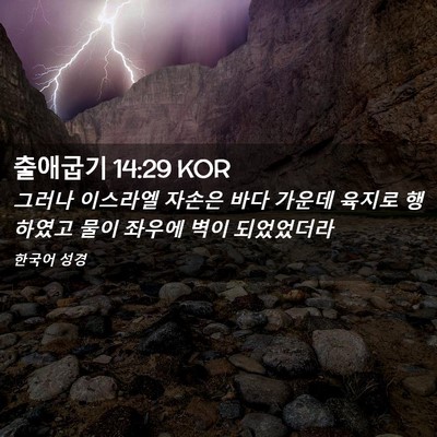 Picture 02 - 출애굽기 14:29 KOR - 그러나 이스라엘 자손은 바다 가운데 - Bible Verse Picture