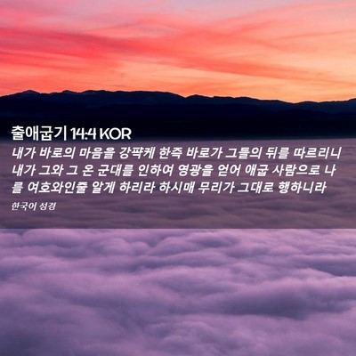 Picture 02 - 출애굽기 14:4 KOR - 내가 바로의 마음을 강퍅케 한즉 - Bible Verse Picture