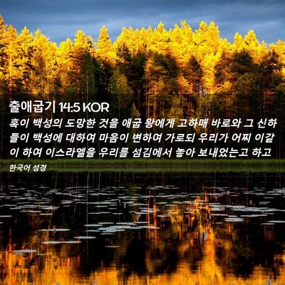 Picture 02 - 출애굽기 14:5 KOR - 혹이 백성의 도망한 것을 애굽 - Bible Verse Picture