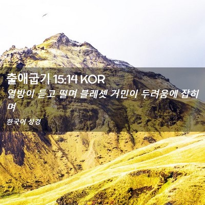 Picture 02 - 출애굽기 15:14 KOR - 열방이 듣고 떨며 블레셋 거민이 - Bible Verse Picture