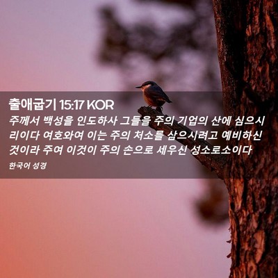 Picture 02 - 출애굽기 15:17 KOR - 주께서 백성을 인도하사 그들을 주의 - Bible Verse Picture