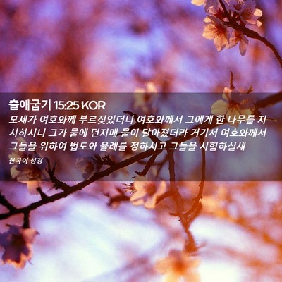 Picture 02 - 출애굽기 15:25 KOR - 모세가 여호와께 부르짖었더니 - Bible Verse Picture