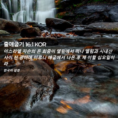 Picture 02 - 출애굽기 16:1 KOR - 이스라엘 자손의 온 회중이 엘림에서 - Bible Verse Picture