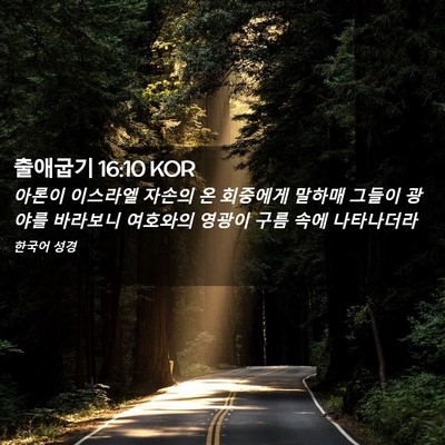 Picture 02 - 출애굽기 16:10 KOR - 아론이 이스라엘 자손의 온 회중에게 - Bible Verse Picture